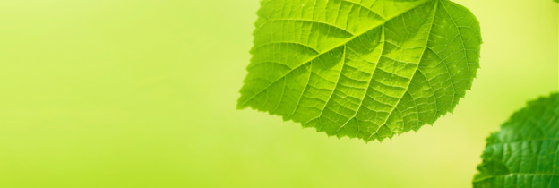 environmentally friendly shipping