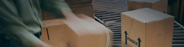 Technology in supply chain, Early Winners